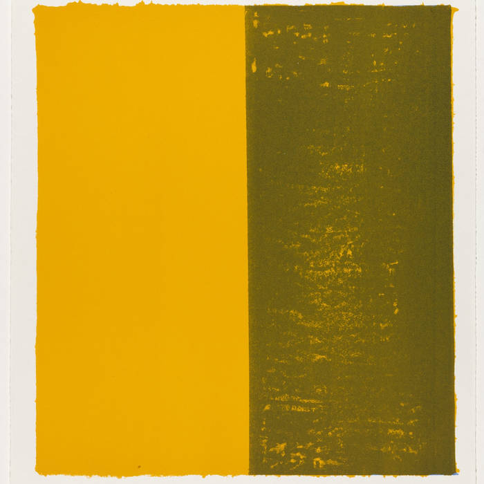 Yellow and olive cover artwork for Motion by FLAWS.